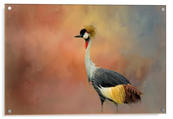 African Crane Acrylic by David Owen