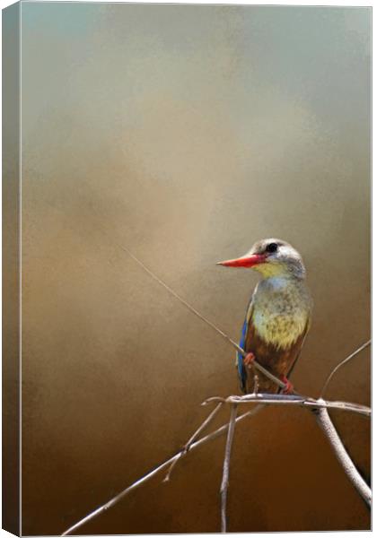 Kingfisher Canvas Print by David Owen