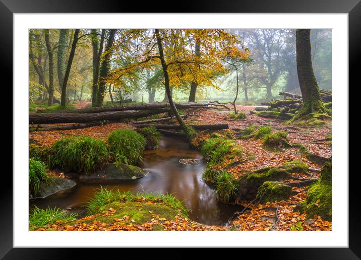 The subtle beauty of Golitha Falls Framed Mounted Print by Michael Brookes