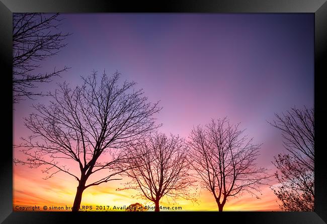 Fiery winter sunset with bare trees Framed Print by Simon Bratt LRPS