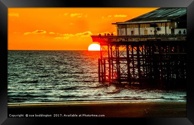 Blackpool pier at sunset Framed Print by sue boddington
