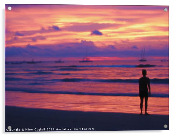 Purple Sunset Acrylic by Milton Cogheil