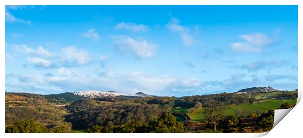 Burrator Print by David Martin