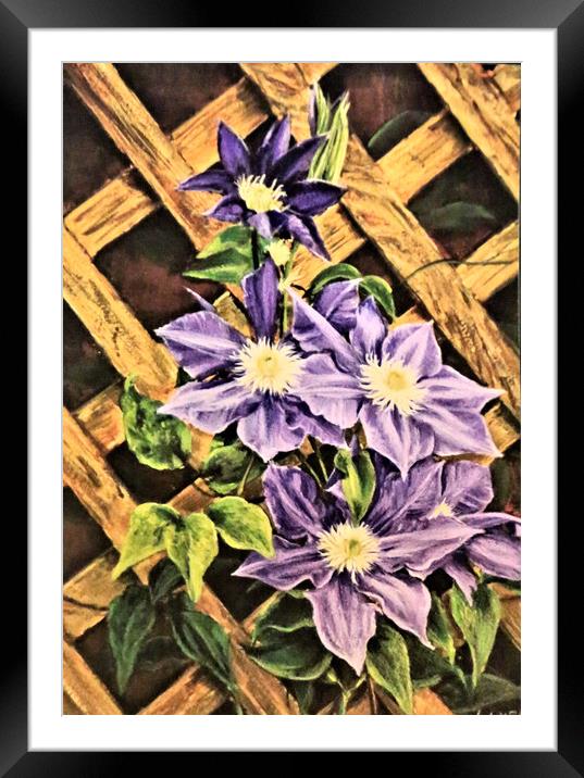 Clematis painting Framed Mounted Print by Linda Lyon