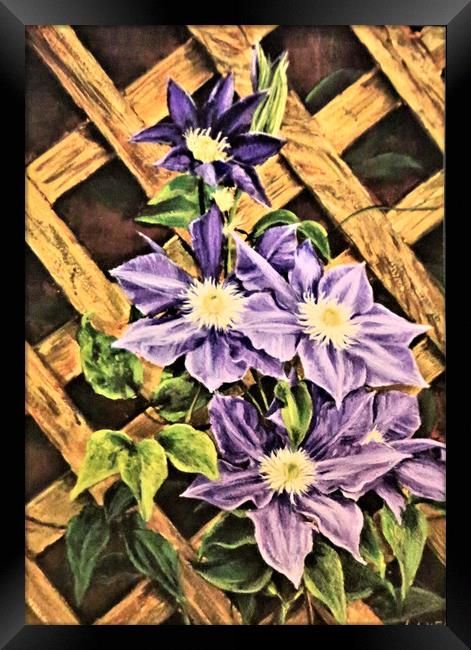Clematis painting Framed Print by Linda Lyon