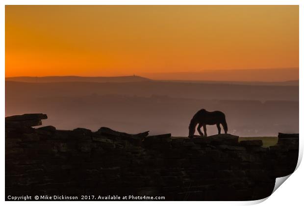 A Stallion's sunset Print by Mike Dickinson