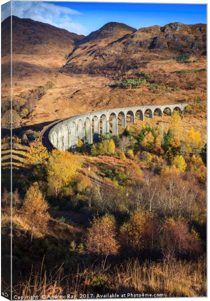 Autumn at Glenfinnan Viaduct Canvas Print by Andrew Ray