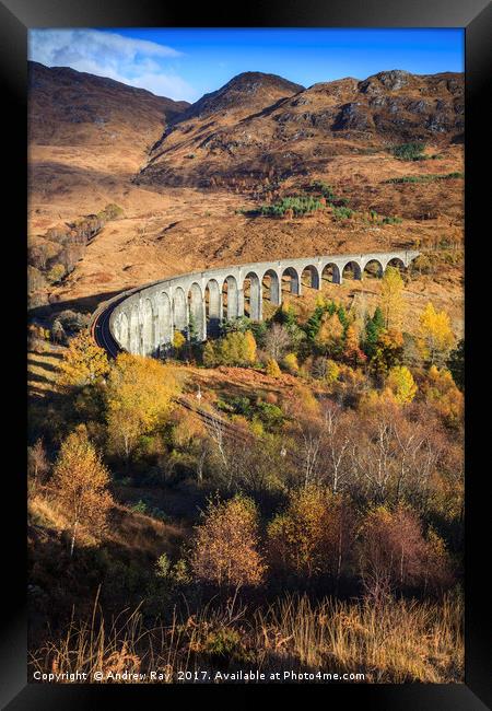 Autumn at Glenfinnan Viaduct Framed Print by Andrew Ray