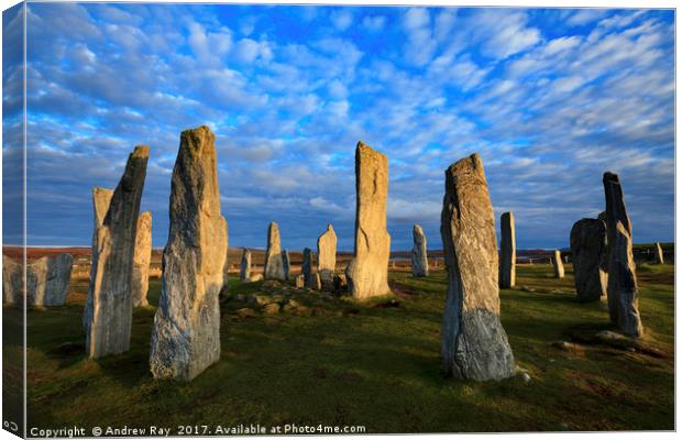 Late Light at Callanish Canvas Print by Andrew Ray