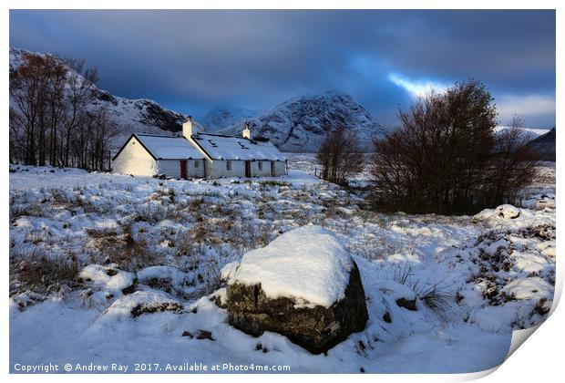 Snow at Black Rock Cottage Print by Andrew Ray