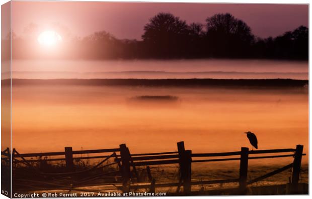 Heron In The Mist Canvas Print by Rob Perrett