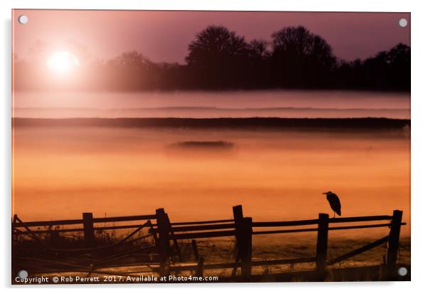 Heron In The Mist Acrylic by Rob Perrett