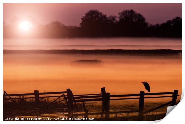 Heron In The Mist Print by Rob Perrett
