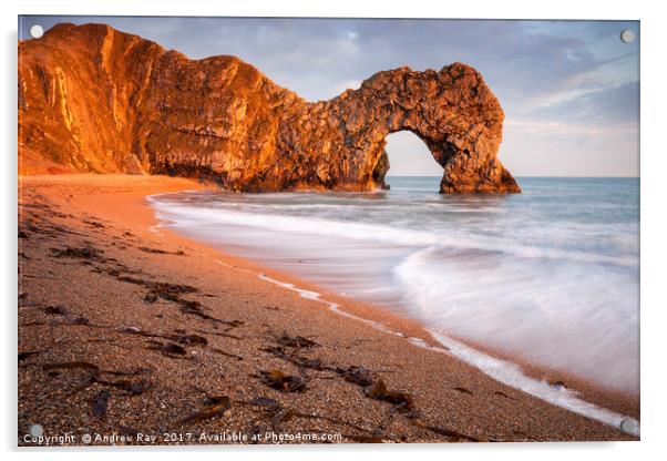 Late Light at Durdle Door Acrylic by Andrew Ray