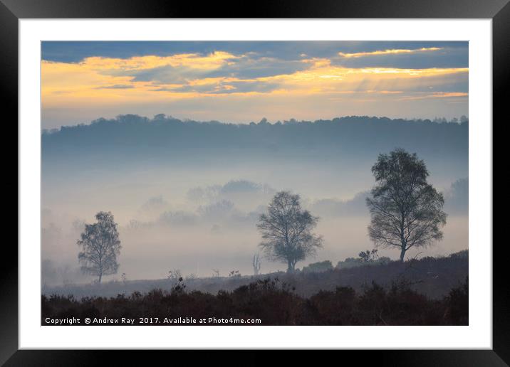 Misty Sunrise (Mogshade Hill Framed Mounted Print by Andrew Ray