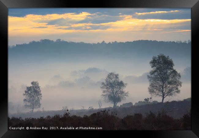 Misty Sunrise (Mogshade Hill Framed Print by Andrew Ray