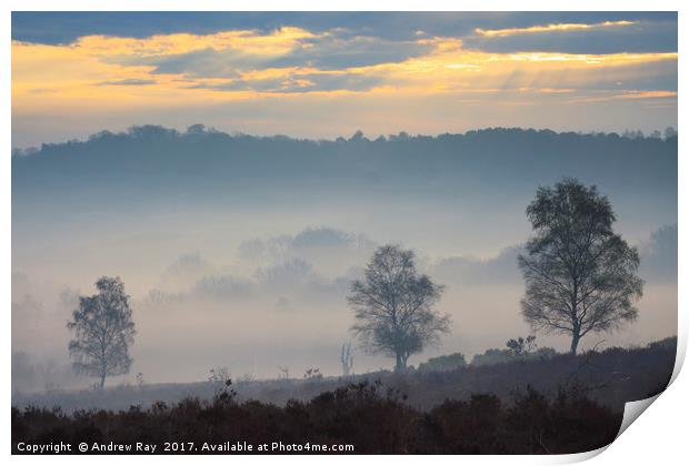 Misty Sunrise (Mogshade Hill Print by Andrew Ray