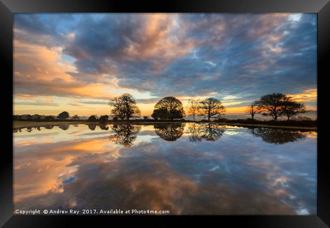 Mogshade Pond at Sunrise Framed Print by Andrew Ray