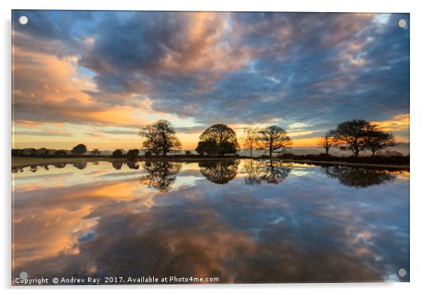 Mogshade Pond at Sunrise Acrylic by Andrew Ray