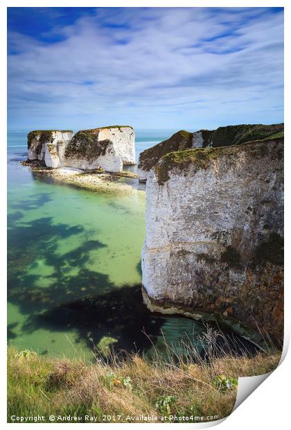 Old Harry Rocks Print by Andrew Ray