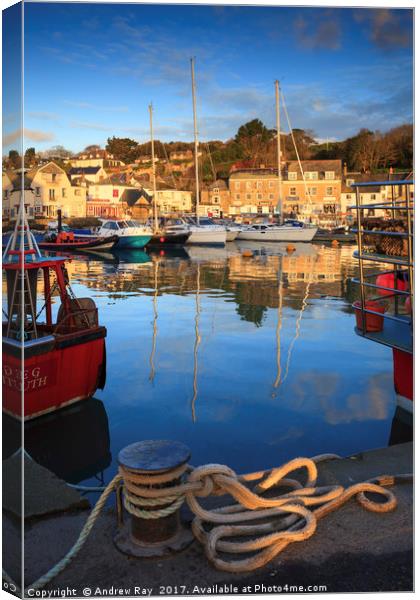 Rope at Padstow Harbour Canvas Print by Andrew Ray
