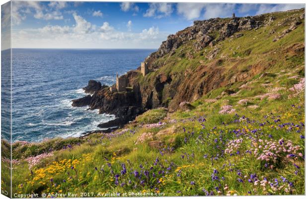 Spring at Botallack  by Andrew Ray (May) Canvas Print by Andrew Ray