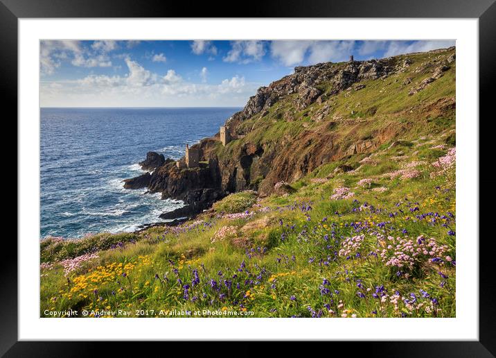 Spring at Botallack  by Andrew Ray (May) Framed Mounted Print by Andrew Ray