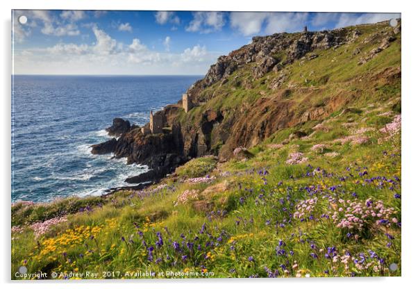 Spring at Botallack  by Andrew Ray (May) Acrylic by Andrew Ray