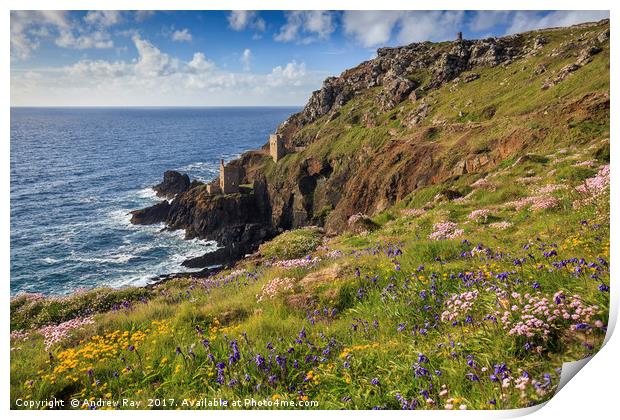 Spring at Botallack  by Andrew Ray (May) Print by Andrew Ray