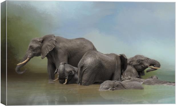 Elephants at water hole Canvas Print by David Owen