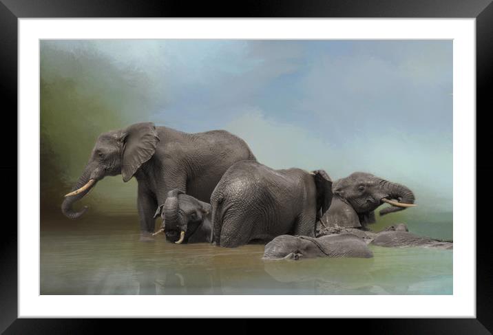 Elephants at water hole Framed Mounted Print by David Owen