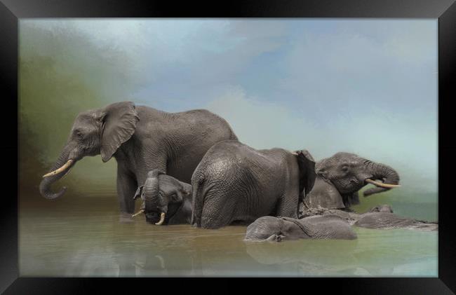 Elephants at water hole Framed Print by David Owen
