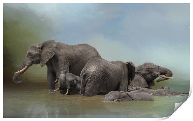 Elephants at water hole Print by David Owen