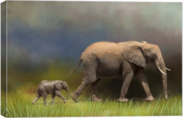 Elephant and young Canvas Print by David Owen