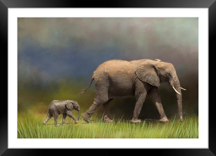 Elephant and young Framed Mounted Print by David Owen