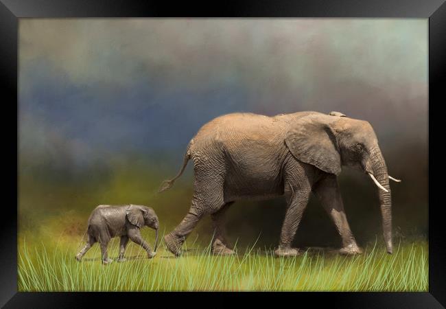 Elephant and young Framed Print by David Owen