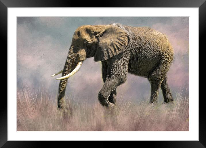 Lone Elephant Framed Mounted Print by David Owen