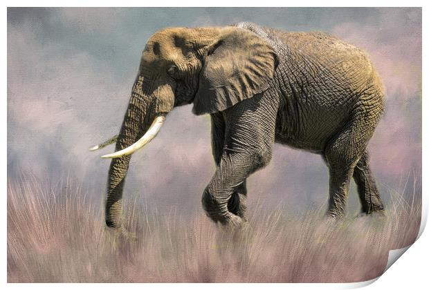 Lone Elephant Print by David Owen
