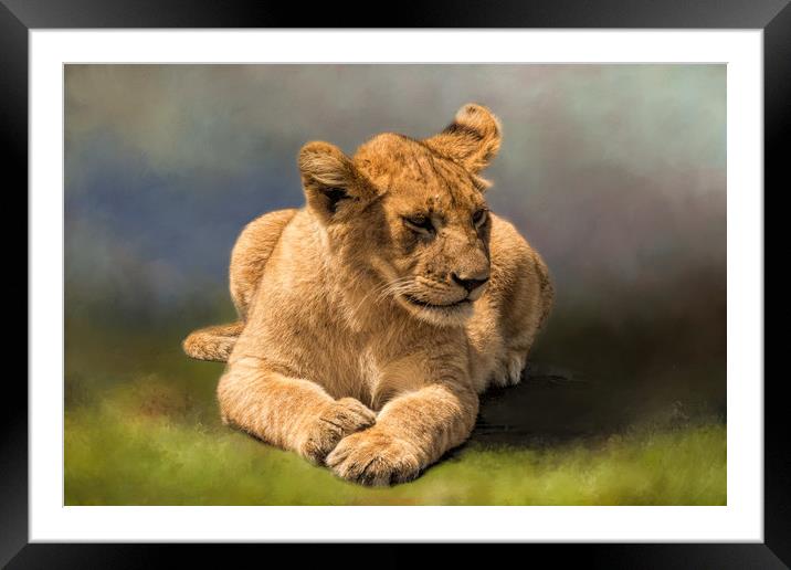 Lion Cub Framed Mounted Print by David Owen