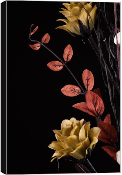 Flowers arrangement with black background Canvas Print by Simon Bratt LRPS