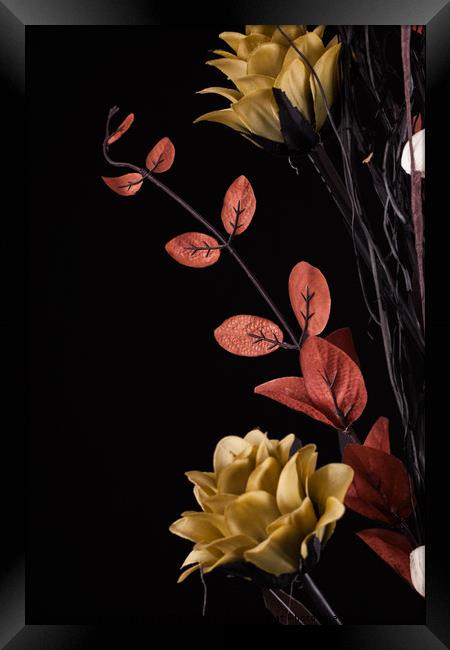 Flowers arrangement with black background Framed Print by Simon Bratt LRPS