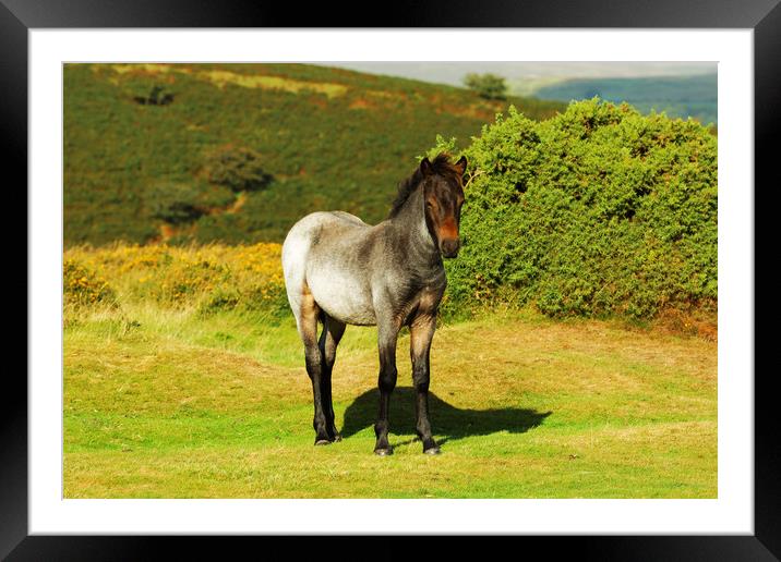 WAITING FOR MUM Framed Mounted Print by andrew saxton