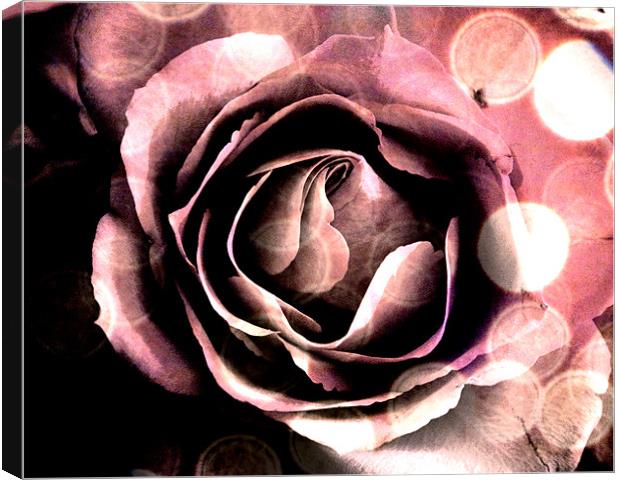 Pink Rose Abstract Canvas Print by K. Appleseed.