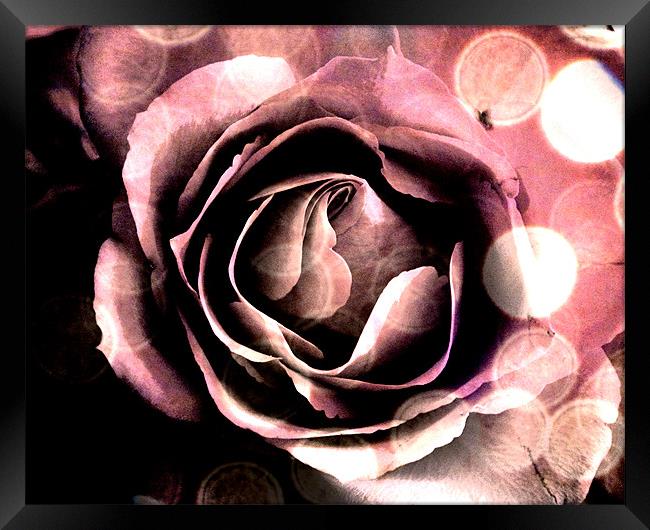 Pink Rose Abstract Framed Print by K. Appleseed.