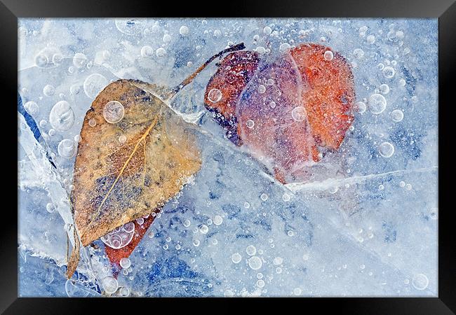 Fractured Seasons Framed Print by Mike Dawson