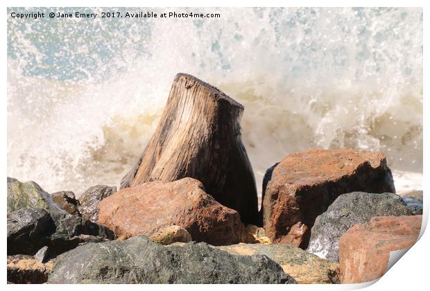 Tree Stump Waves Print by Jane Emery