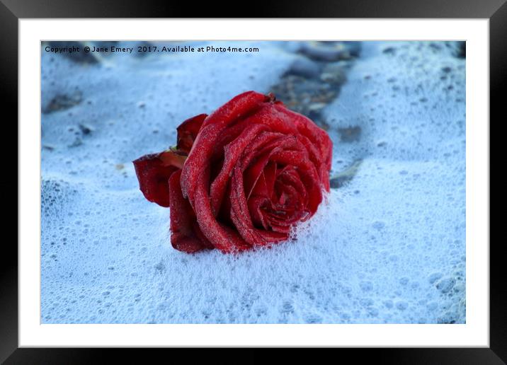 Rose in the Surf Framed Mounted Print by Jane Emery