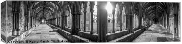 Cathedral Cloisters Canvas Print by Howie Marsh