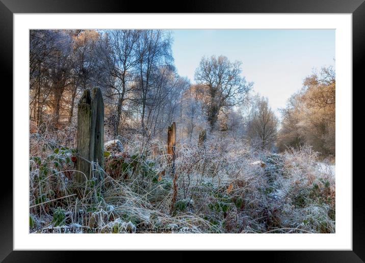 Frosty Morn Framed Mounted Print by David Tinsley
