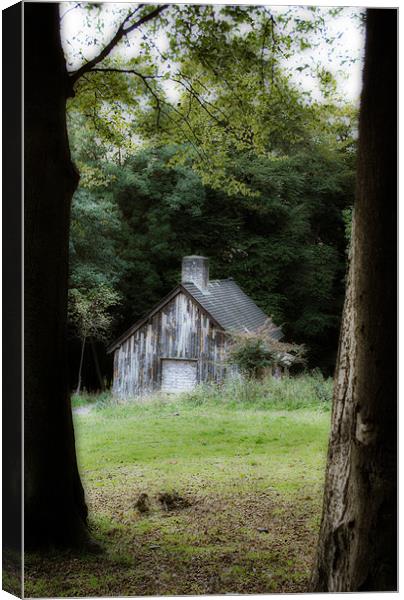 The Cabin Canvas Print by graham young